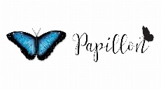 Papillon Jeu de Base Français/Anglais