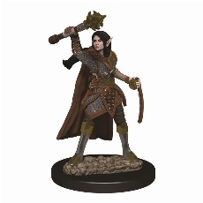 D&D Icons: Premium Female Elf Cleric