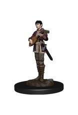 D&D Icons: Premium Half-Elf Bard