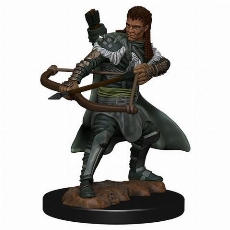 D&D Icons: Premium Human Ranger