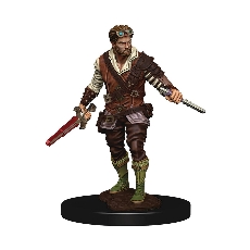 D&D Icons: Premium Human Rogue