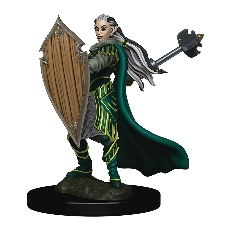 D&D Icons: Premium Elf Paladin