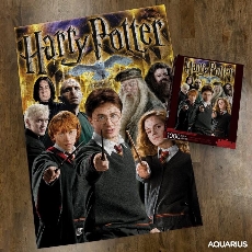 Collage Harry Potter 1000 Pièces