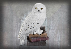 Magical Creatures Harry Potter Hedwig